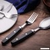 Moxinox 20-Piece Flatware Set Black Plastic Handle Stainless Steel Silverware Tableware Dinnerware Service for 4 - B06Y28WTRM